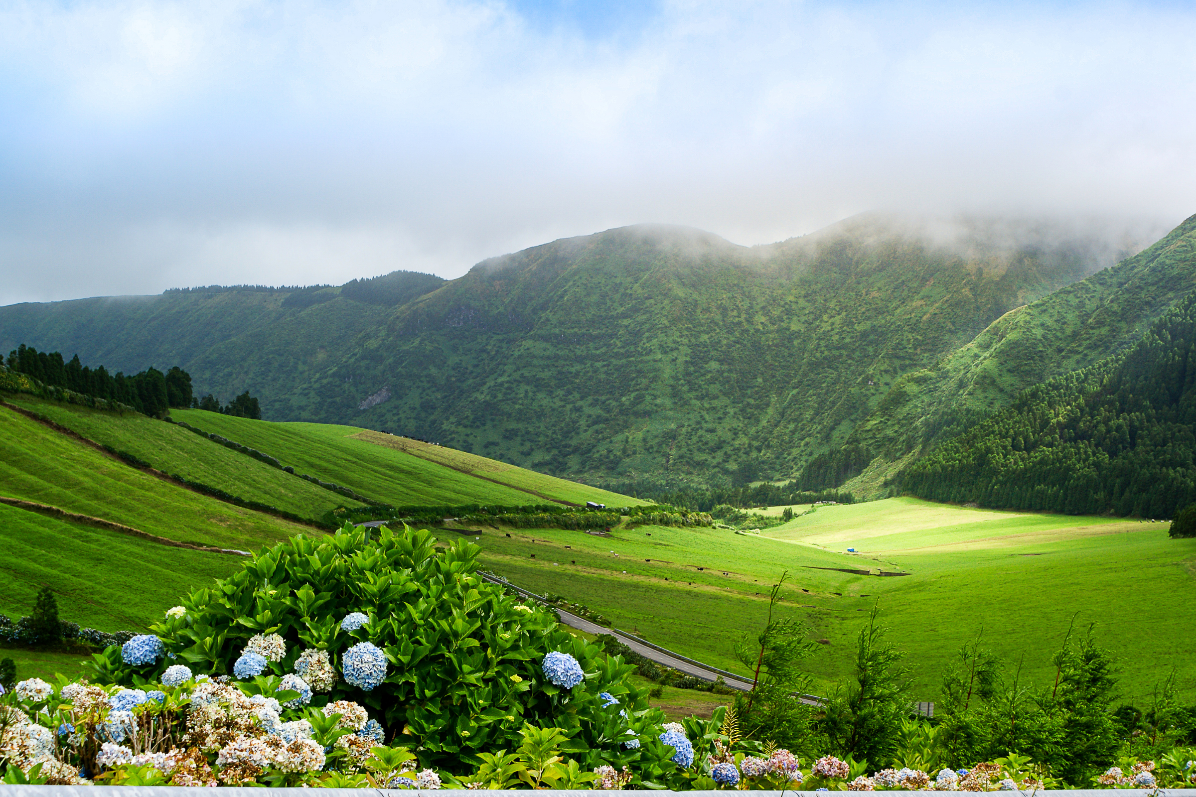 terceira island, azores 02.webp